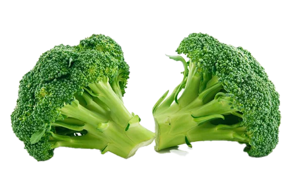 Fresh Green Broccoli Florets PNG Transparent