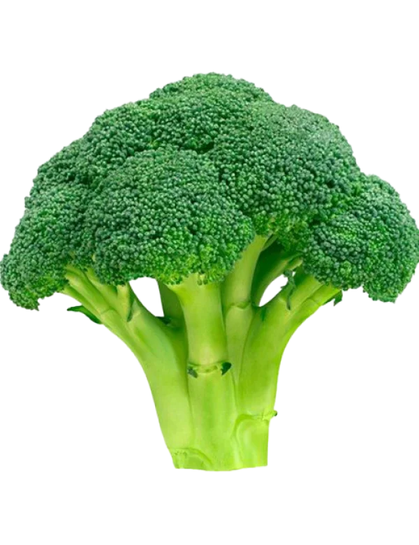 Fresh Green Broccoli PNG Transparent Background