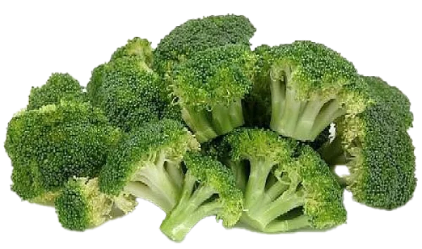 Fresh Broccoli Florets PNG Transparent Background