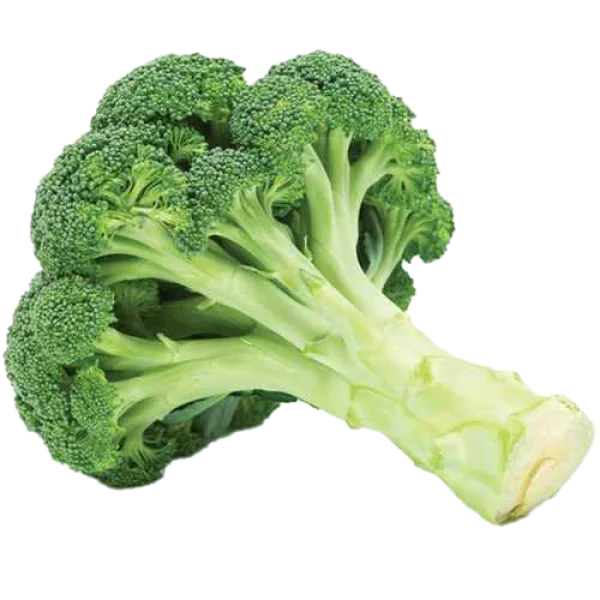 Fresh Broccoli PNG Transparent Background