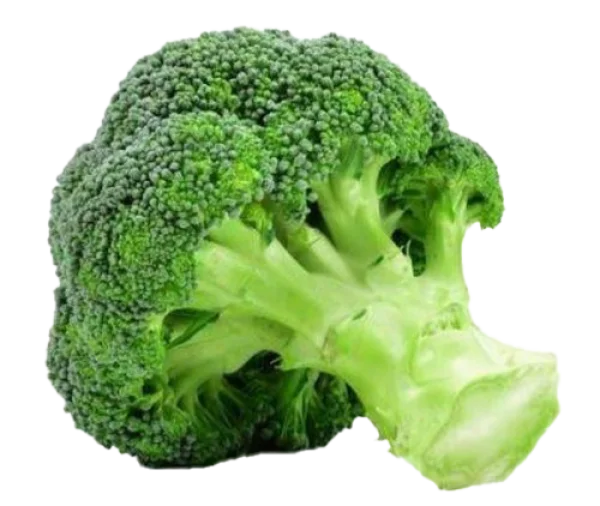 Fresh Broccoli Head PNG Transparent Background