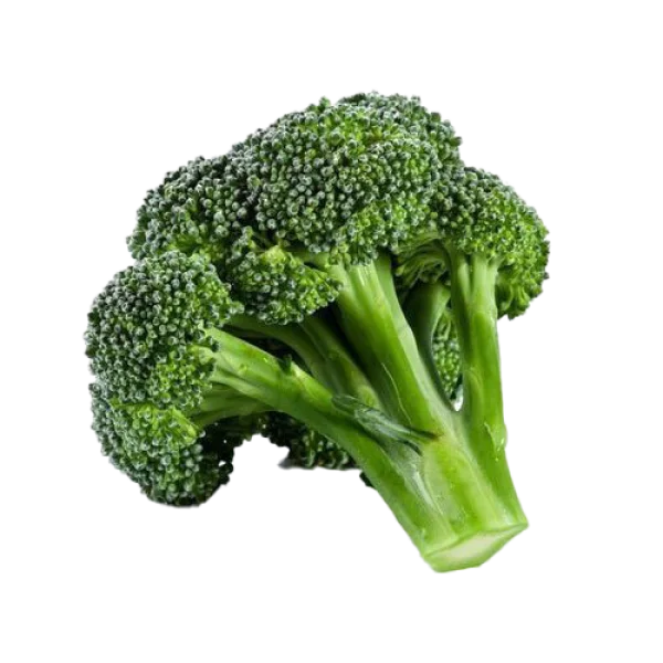 Fresh Green Broccoli Head PNG Transparent Background