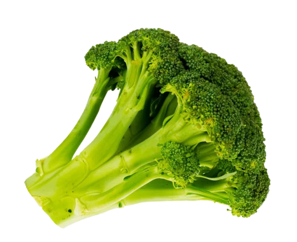 Fresh Broccoli Head PNG Transparent Background