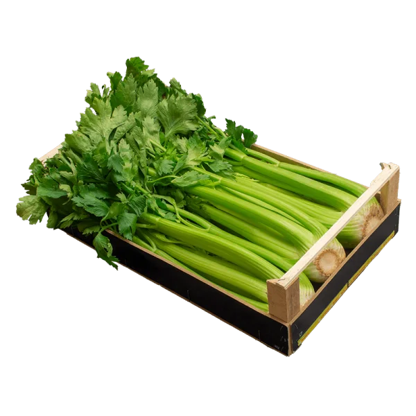 Fresh Celery in Wooden Crate PNG Transparent Background