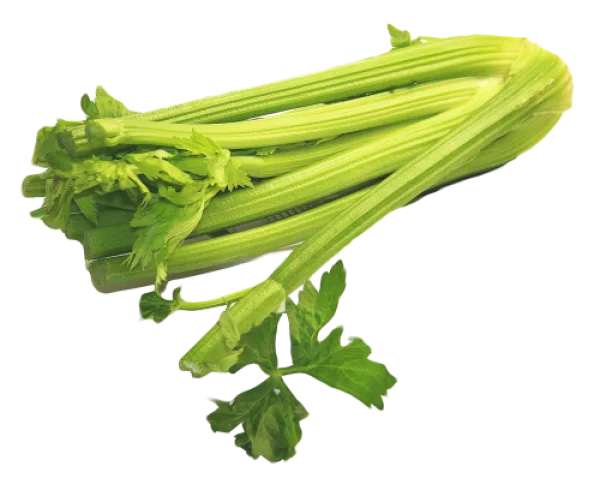 Fresh Green Celery Stalks PNG Transparent