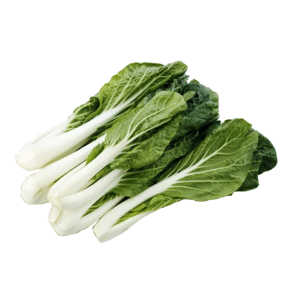 Fresh Bok Choy PNG Transparent Background