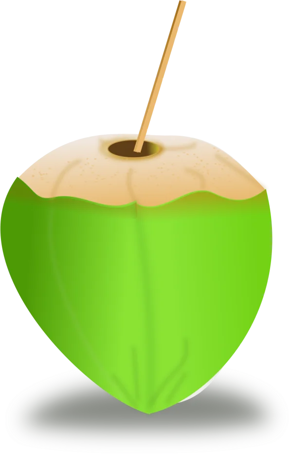 Green Coconut Drink PNG with Straw