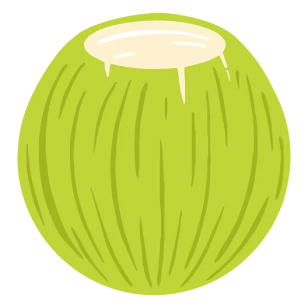 Green Coconut Drink PNG Transparent Background