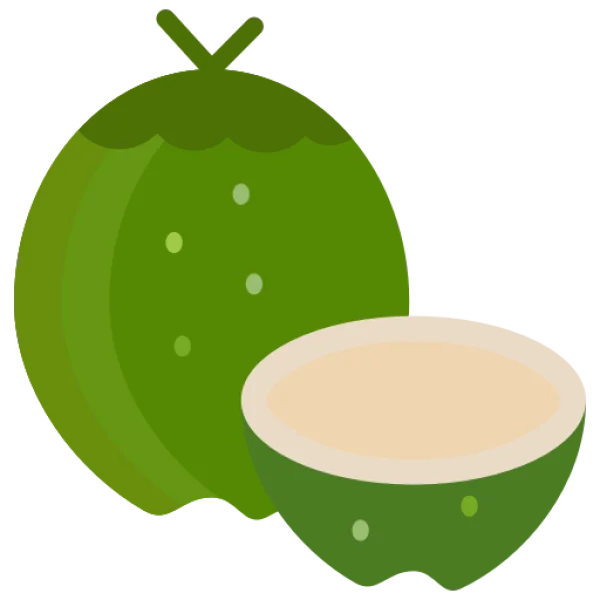 Green Coconut Whole and Half PNG Transparent