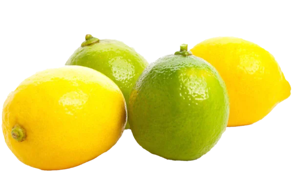 Fresh Lemons and Limes PNG Transparent Background