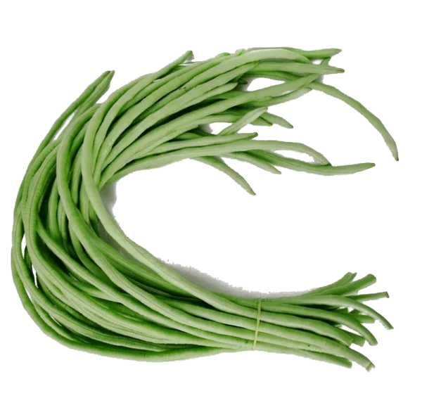 Fresh Long Beans Bunch PNG Transparent