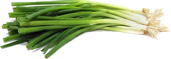 Fresh Green Onions Bunch PNG Transparent