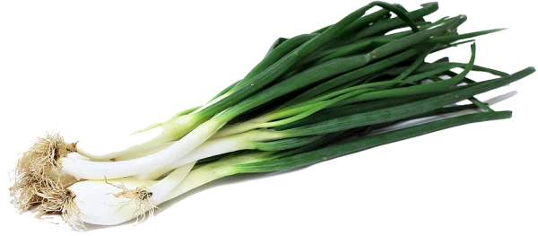 Fresh Green Onions PNG Transparent Background