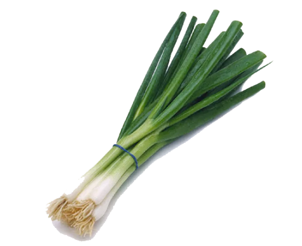 Fresh Green Onions Bunch PNG Transparent