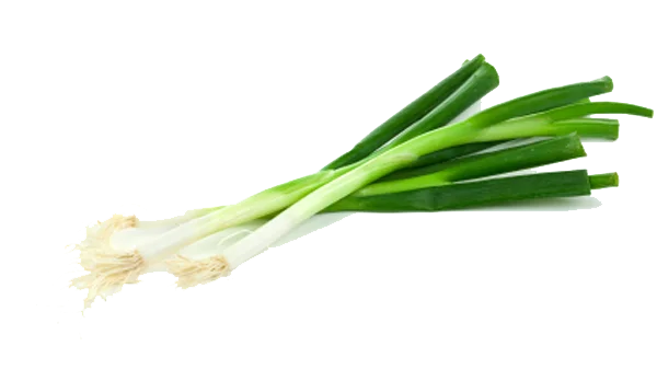 Green Onions PNG Transparent Background