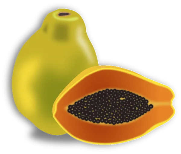 Fresh Papaya Whole and Sliced PNG Transparent Background