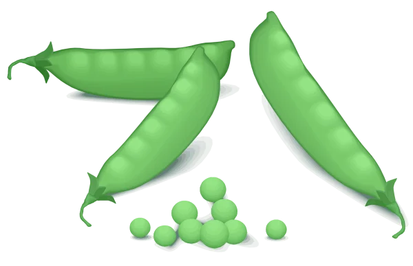 Green Pea Pods and Loose Peas PNG Transparent Background