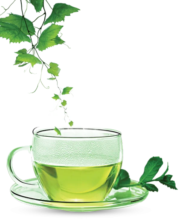 Green Tea Cup with Leaves PNG Transparent Background