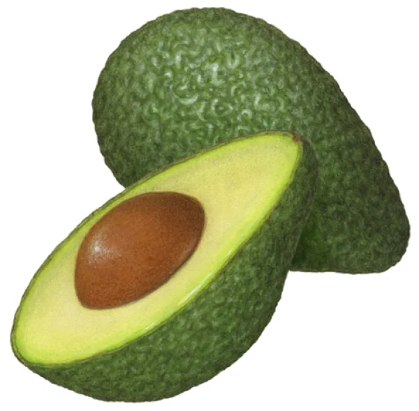 Avocado Whole and Half PNG Transparent Background