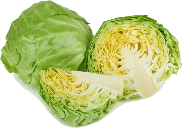 Fresh Green Cabbage PNG Transparent Background