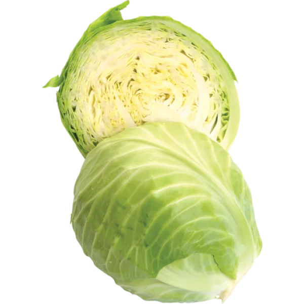 Fresh Green Cabbage PNG Transparent Background