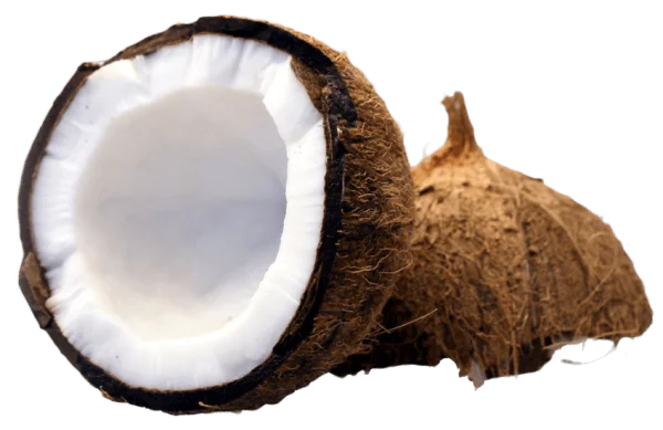 Halved Coconut Transparent PNG