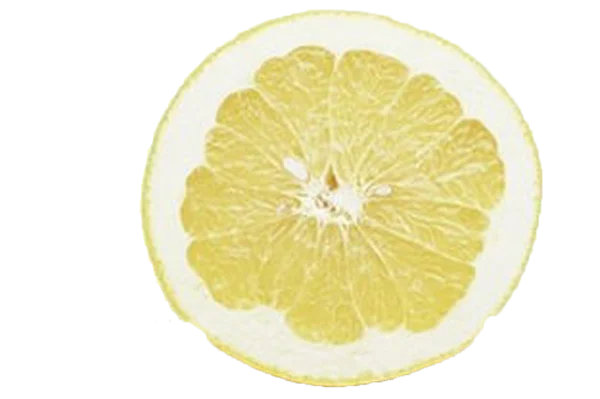 Grapefruit Slice PNG Transparent Background