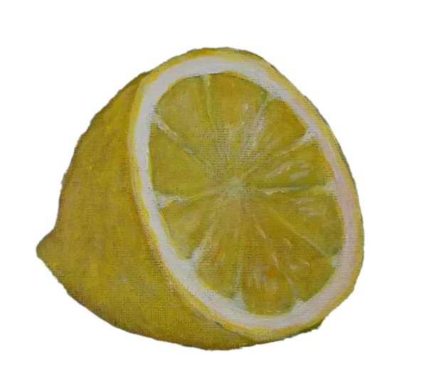 Hand-Painted Lemon Slice PNG Transparent Background