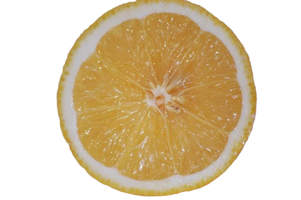 Lemon Slice Transparent PNG