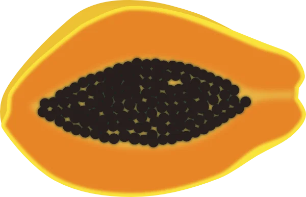 Sliced Papaya PNG Transparent Background