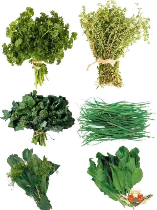 Fresh Herbs and Greens Transparent PNG