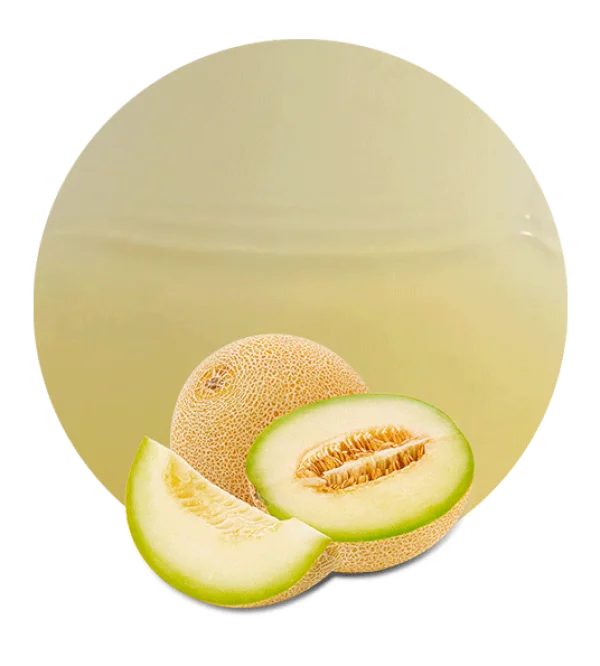 Cantaloupe Melon with Slices PNG Transparent