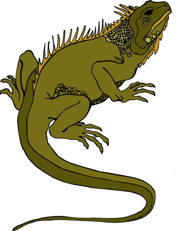 Stylized Green Iguana PNG Transparent Background