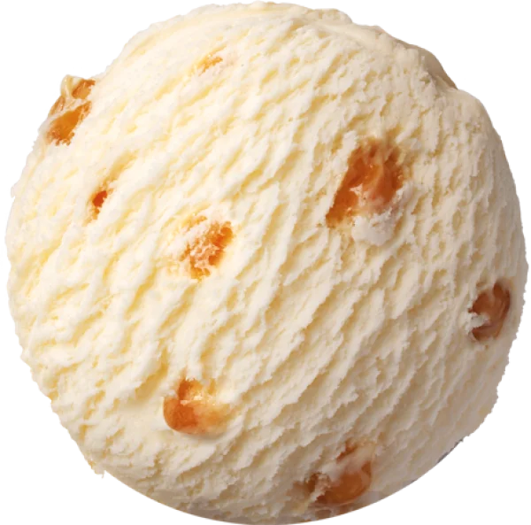 Delicious Ice Cream Scoop with Caramel Bits