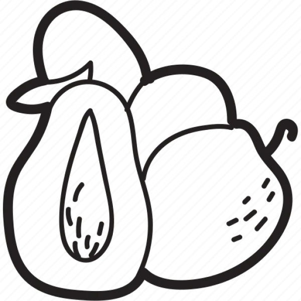 Fruit Doodle Collection Transparent PNG