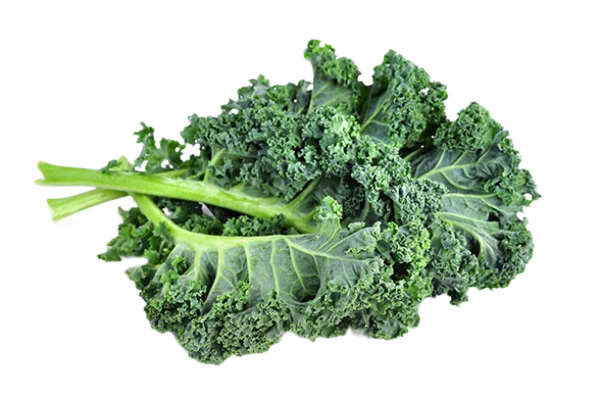 Fresh Kale Leaves PNG Transparent Background
