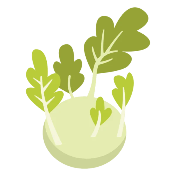Kohlrabi Vegetable Illustration PNG