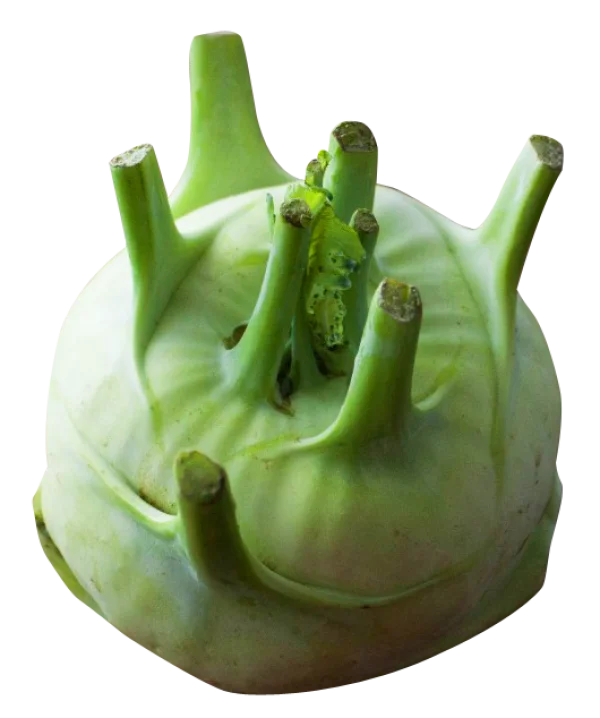 Green Kohlrabi Vegetable PNG Transparent Background
