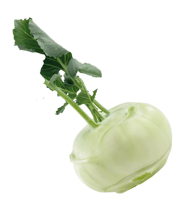 Fresh Kohlrabi PNG Transparent Background
