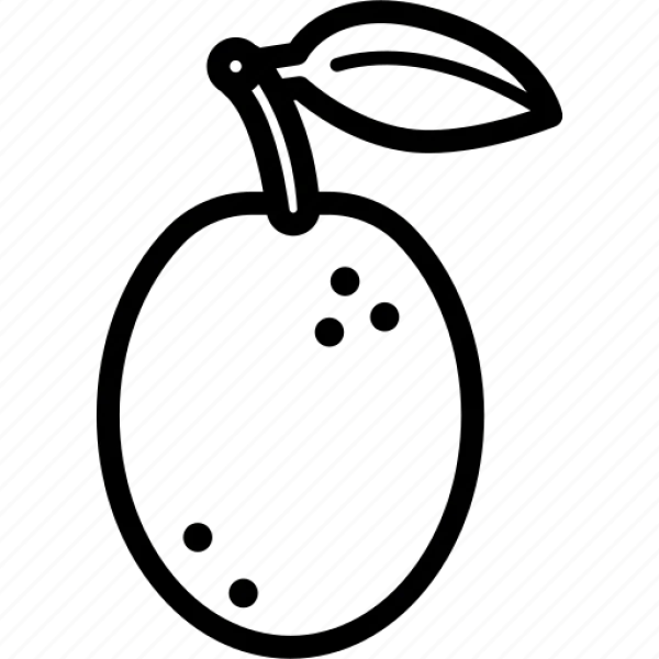 Outline Orange Fruit Icon Transparent Background