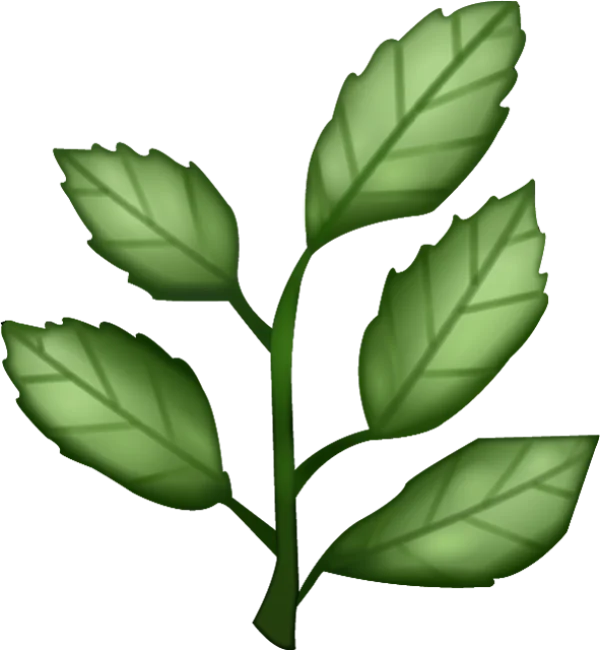 Stylized Green Plant Stem with Leaves PNG