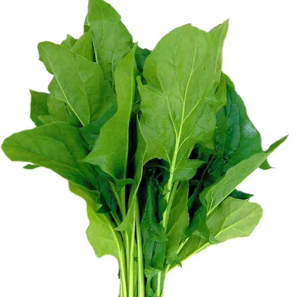 Fresh Green Spinach Leaves PNG Transparent Background