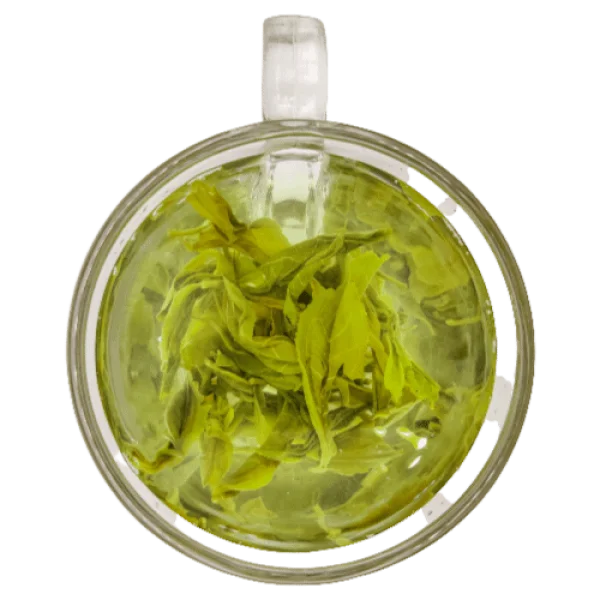 Green Tea Cup Overhead View PNG Transparent Background