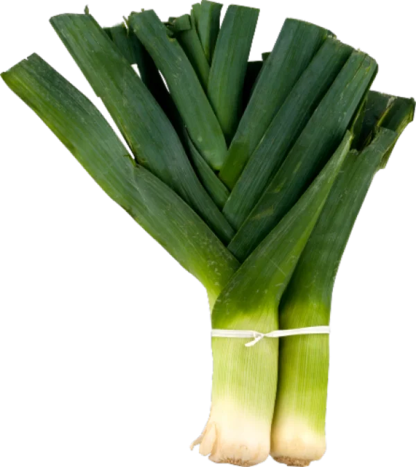 Fresh Leeks Bunch PNG Transparent Background