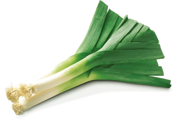 Fresh Leeks PNG Transparent Background
