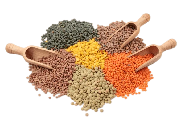 Variety of Lentils with Wooden Scoops PNG