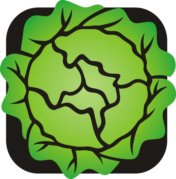 Green Cabbage Icon with Rounded Border PNG