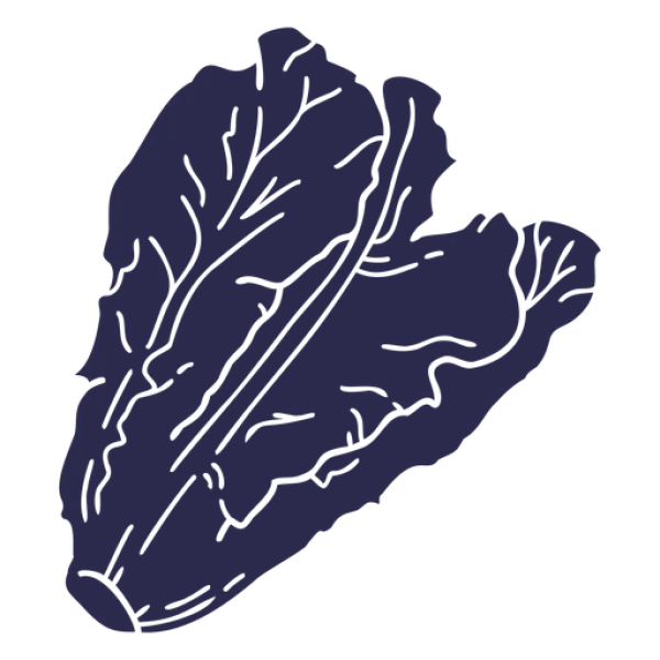 Stylized Dark Blue Leaf PNG Transparent Background