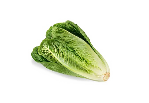 Fresh Romaine Lettuce PNG Transparent