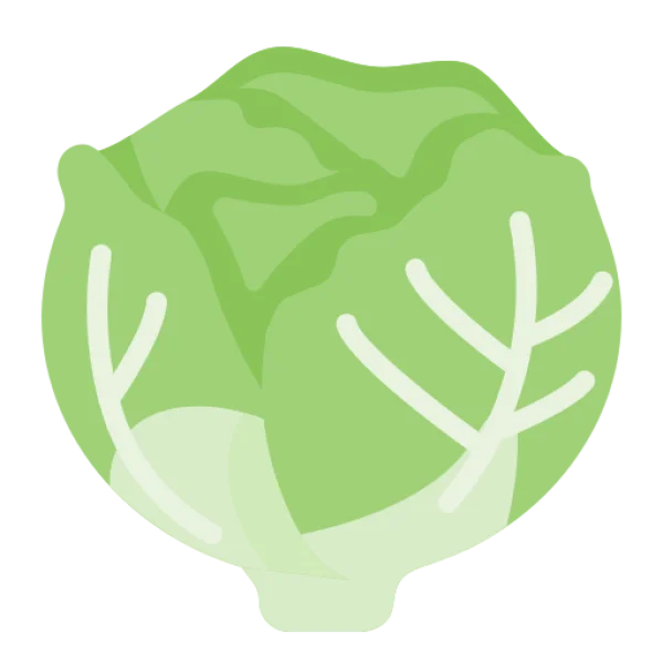 Green Cabbage PNG Transparent Background